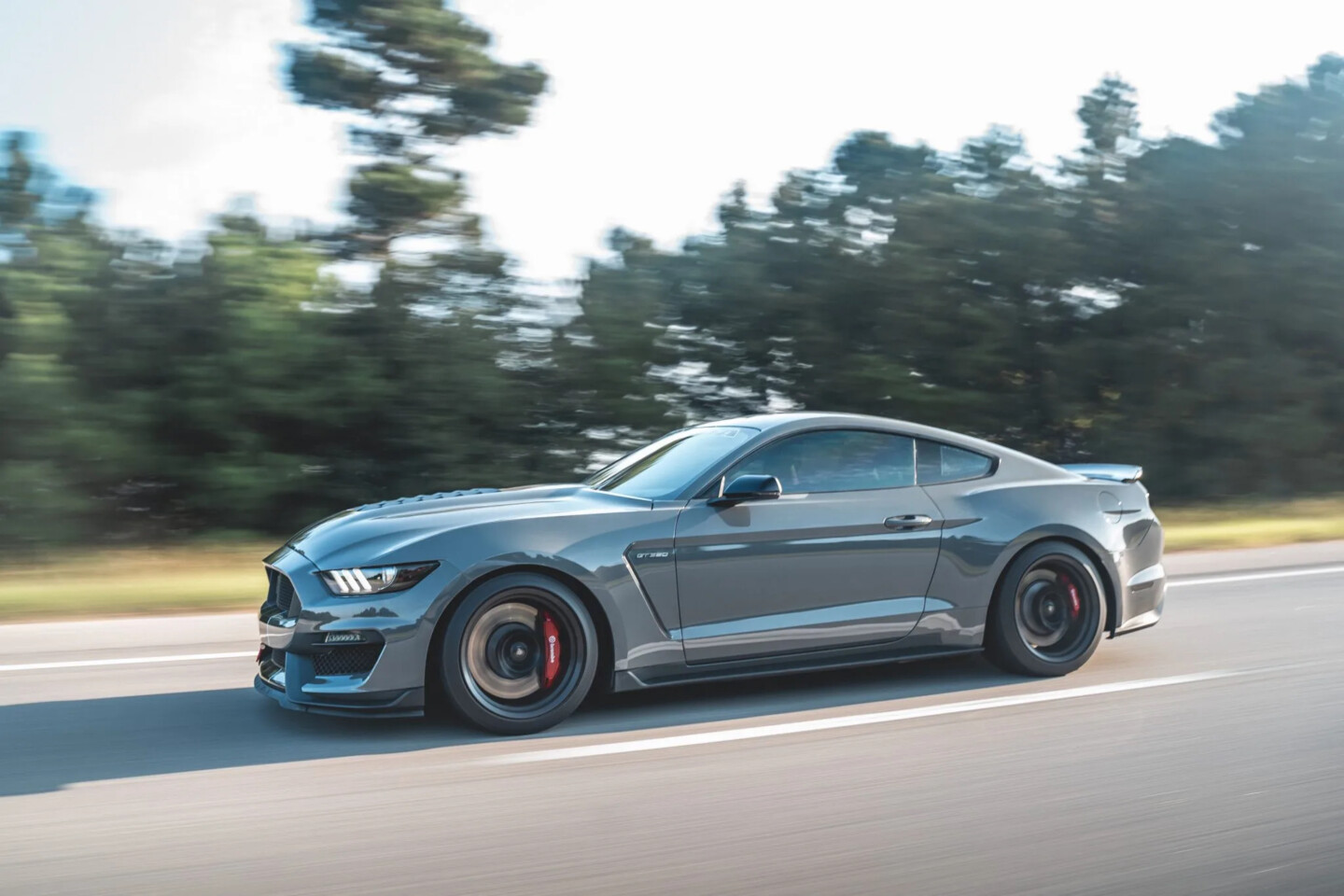 Shelby GT350