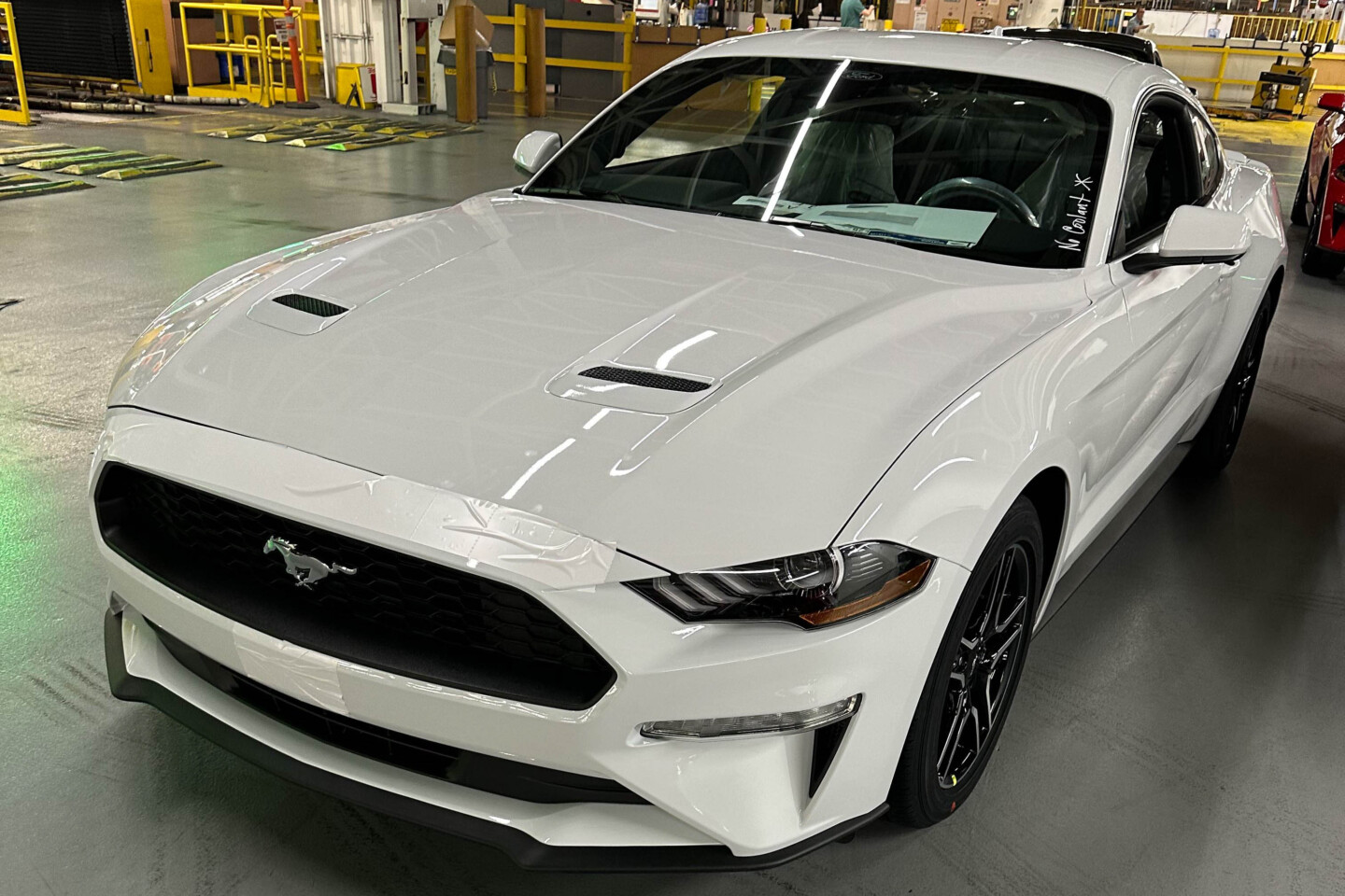 Mustang