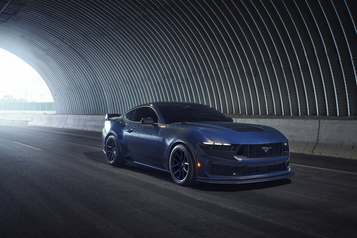 Mustang