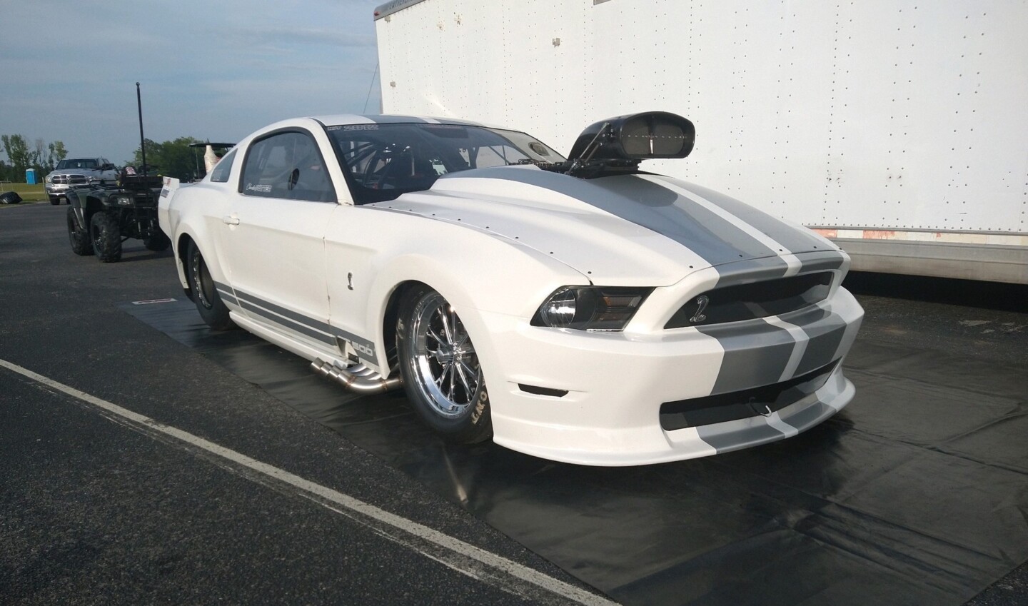 Shelby mustang