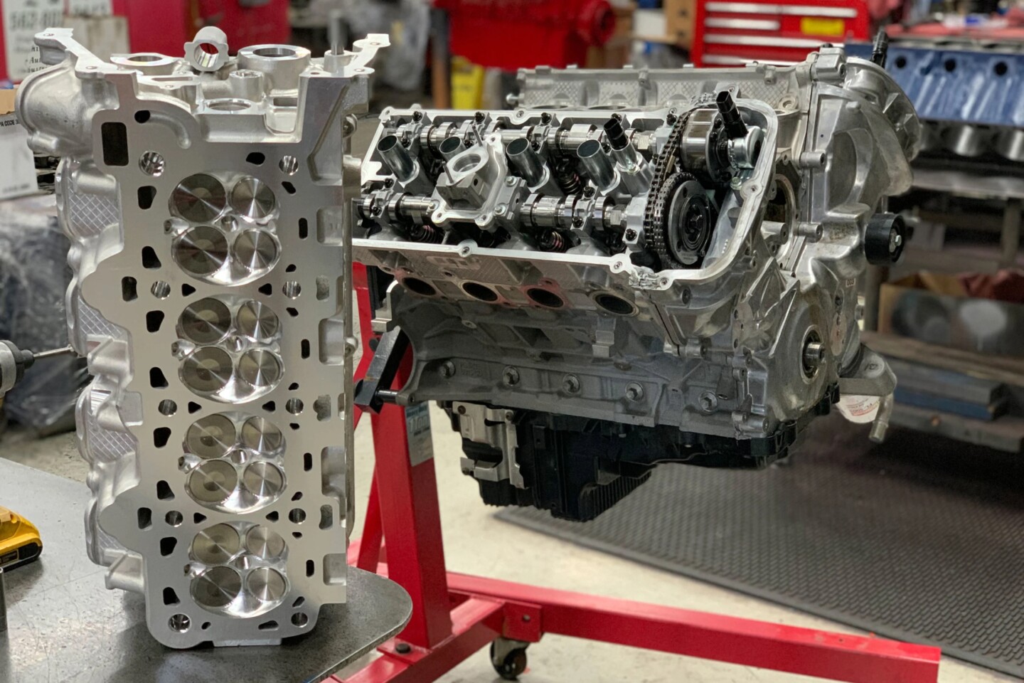 Coyote Swap