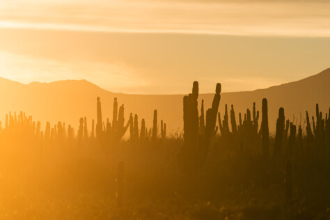 go-destinations-baja-bound-with-method-race-wheels-2023-05-11_18-13-08_494286