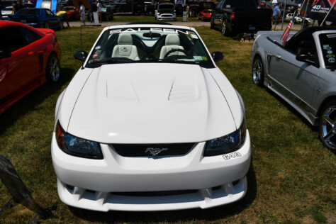 sweet-saleens-of-the-2023-carlisle-ford-nationals-2023-06-15_11-06-34_028439