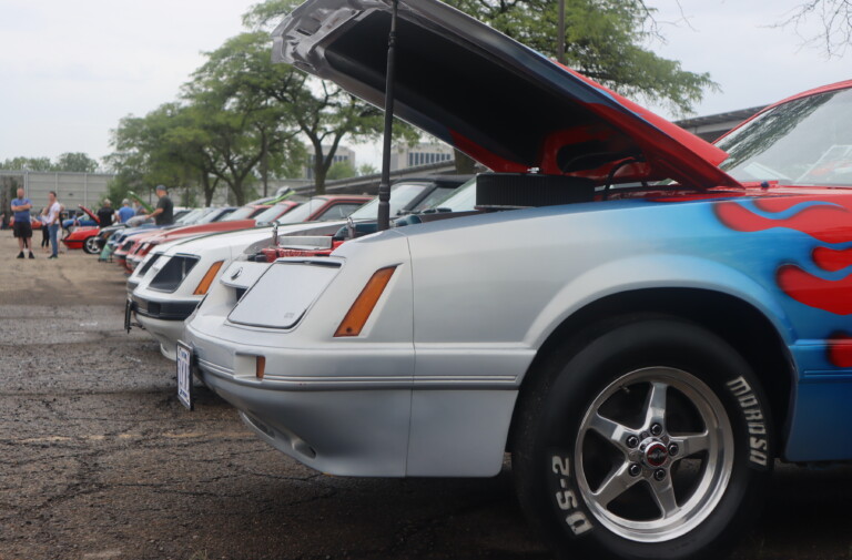 Our 10 Favorite Foxes From The 2023 Motor City Foxfest