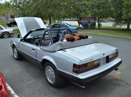 mustang-owners-museum-host-fox-body-mustang-car-show-2023-07-10_08-35-41_239736