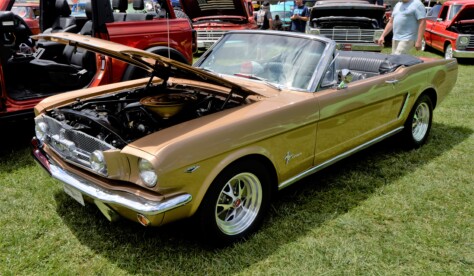 mustangs-broncos-and-f-100s-invade-maggie-valley-for-all-ford-show-2023-08-31_09-45-08_090518