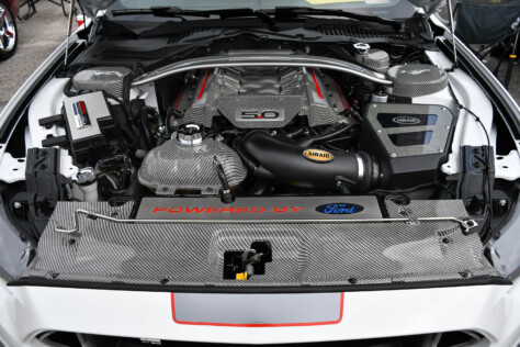 8-impressive-mustangs-from-mustang-week-plus-massive-gallery-2023-09-20_07-55-53_832838
