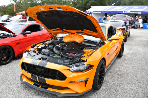 8-impressive-mustangs-from-mustang-week-plus-massive-gallery-2023-09-20_07-58-24_343887