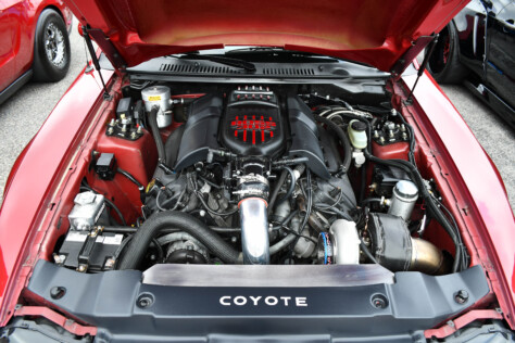 8-impressive-mustangs-from-mustang-week-plus-massive-gallery-2023-09-20_07-59-07_984556