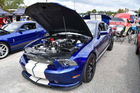 8-impressive-mustangs-from-mustang-week-plus-massive-gallery-2023-09-20_08-01-05_611645