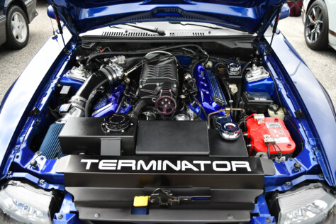 8-impressive-mustangs-from-mustang-week-plus-massive-gallery-2023-09-20_08-01-50_231563