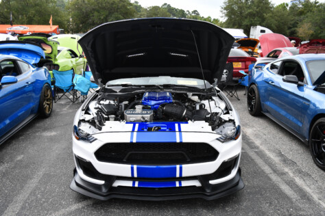 8-impressive-mustangs-from-mustang-week-plus-massive-gallery-2023-09-20_08-02-20_309057