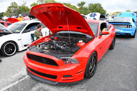 8-impressive-mustangs-from-mustang-week-plus-massive-gallery-2023-09-20_08-03-04_938895