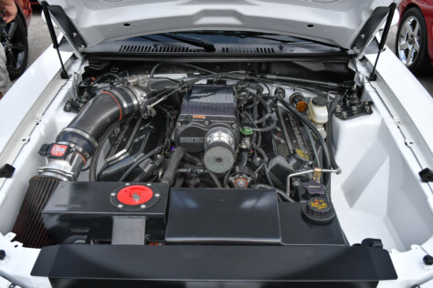8-impressive-mustangs-from-mustang-week-plus-massive-gallery-2023-09-20_08-06-33_134650
