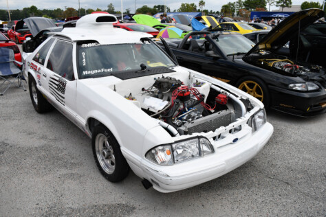 8-impressive-mustangs-from-mustang-week-plus-massive-gallery-2023-09-20_08-07-32_800094