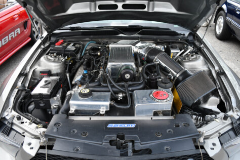 8-impressive-mustangs-from-mustang-week-plus-massive-gallery-2023-09-20_08-09-02_466184