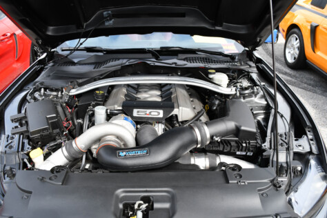8-impressive-mustangs-from-mustang-week-plus-massive-gallery-2023-09-20_08-09-46_730786