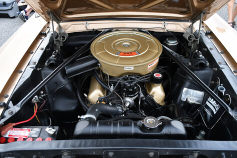 8-impressive-mustangs-from-mustang-week-plus-massive-gallery-2023-09-20_08-12-32_545301