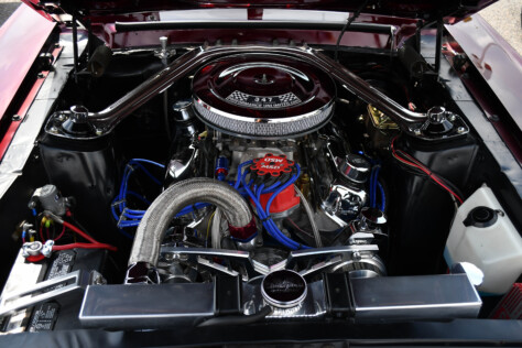 8-impressive-mustangs-from-mustang-week-plus-massive-gallery-2023-09-20_08-16-26_022503