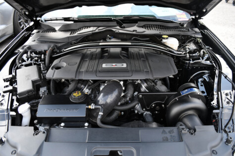 8-impressive-mustangs-from-mustang-week-plus-massive-gallery-2023-09-20_08-17-25_028735