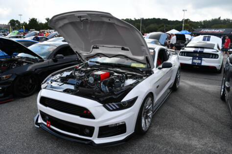8-impressive-mustangs-from-mustang-week-plus-massive-gallery-2023-09-20_08-19-09_962603