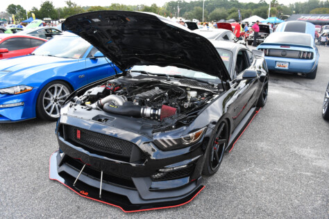 8-impressive-mustangs-from-mustang-week-plus-massive-gallery-2023-09-20_08-19-25_067011