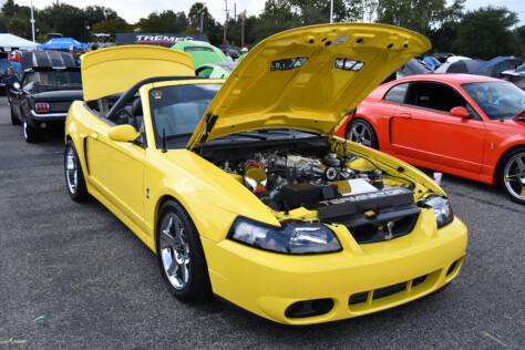 8-impressive-mustangs-from-mustang-week-plus-massive-gallery-2023-09-20_08-19-40_183792