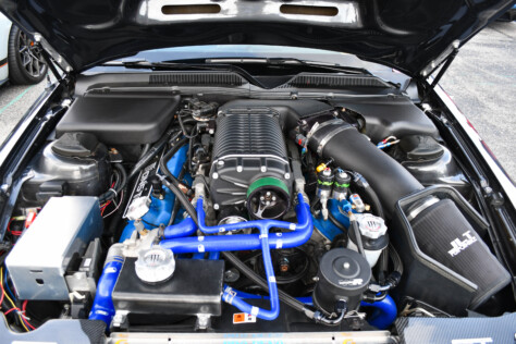 8-impressive-mustangs-from-mustang-week-plus-massive-gallery-2023-09-20_08-23-09_845757