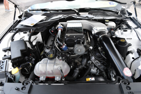 8-impressive-mustangs-from-mustang-week-plus-massive-gallery-2023-09-20_08-24-53_293101
