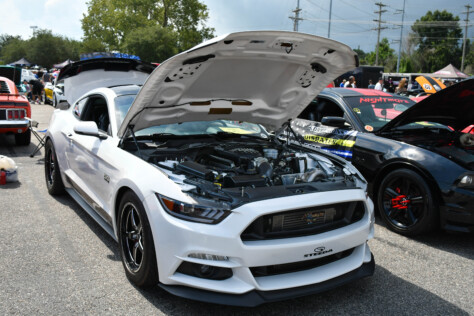 8-impressive-mustangs-from-mustang-week-plus-massive-gallery-2023-09-20_08-26-07_299083