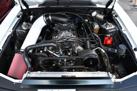8-impressive-mustangs-from-mustang-week-plus-massive-gallery-2023-09-20_08-29-06_012878
