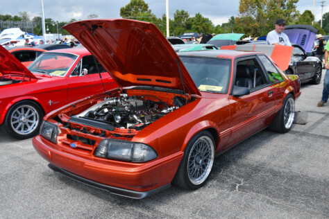 8-impressive-mustangs-from-mustang-week-plus-massive-gallery-2023-09-20_08-29-36_283786