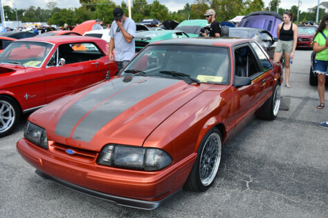 8-impressive-mustangs-from-mustang-week-plus-massive-gallery-2023-09-20_08-30-35_626864