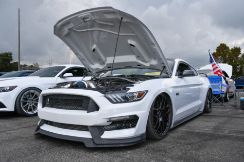 8-impressive-mustangs-from-mustang-week-plus-massive-gallery-2023-09-20_08-31-20_530395