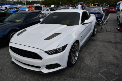 8-impressive-mustangs-from-mustang-week-plus-massive-gallery-2023-09-20_08-31-35_249255