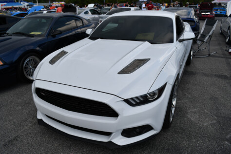 8-impressive-mustangs-from-mustang-week-plus-massive-gallery-2023-09-20_08-31-49_827499