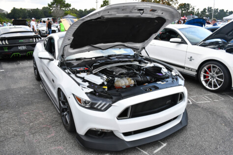 8-impressive-mustangs-from-mustang-week-plus-massive-gallery-2023-09-20_08-36-19_707002