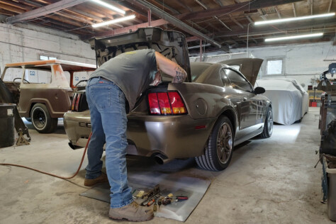 we-give-our-2001-cobra-a-fresh-paint-job-2023-09-06_07-33-26_000783