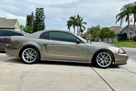 we-give-our-2001-cobra-a-fresh-paint-job-2023-09-06_07-42-58_725933