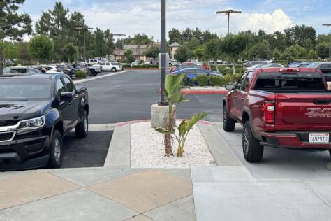 dual-personality-unleashed-2023-gmc-canyon-at4-test-drive-2023-10-05_12-51-21_967792