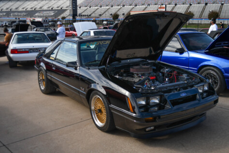 5-things-you-missed-by-not-attending-the-lmr-cruise-in-plus-gallery-2023-11-21_11-26-34_387796