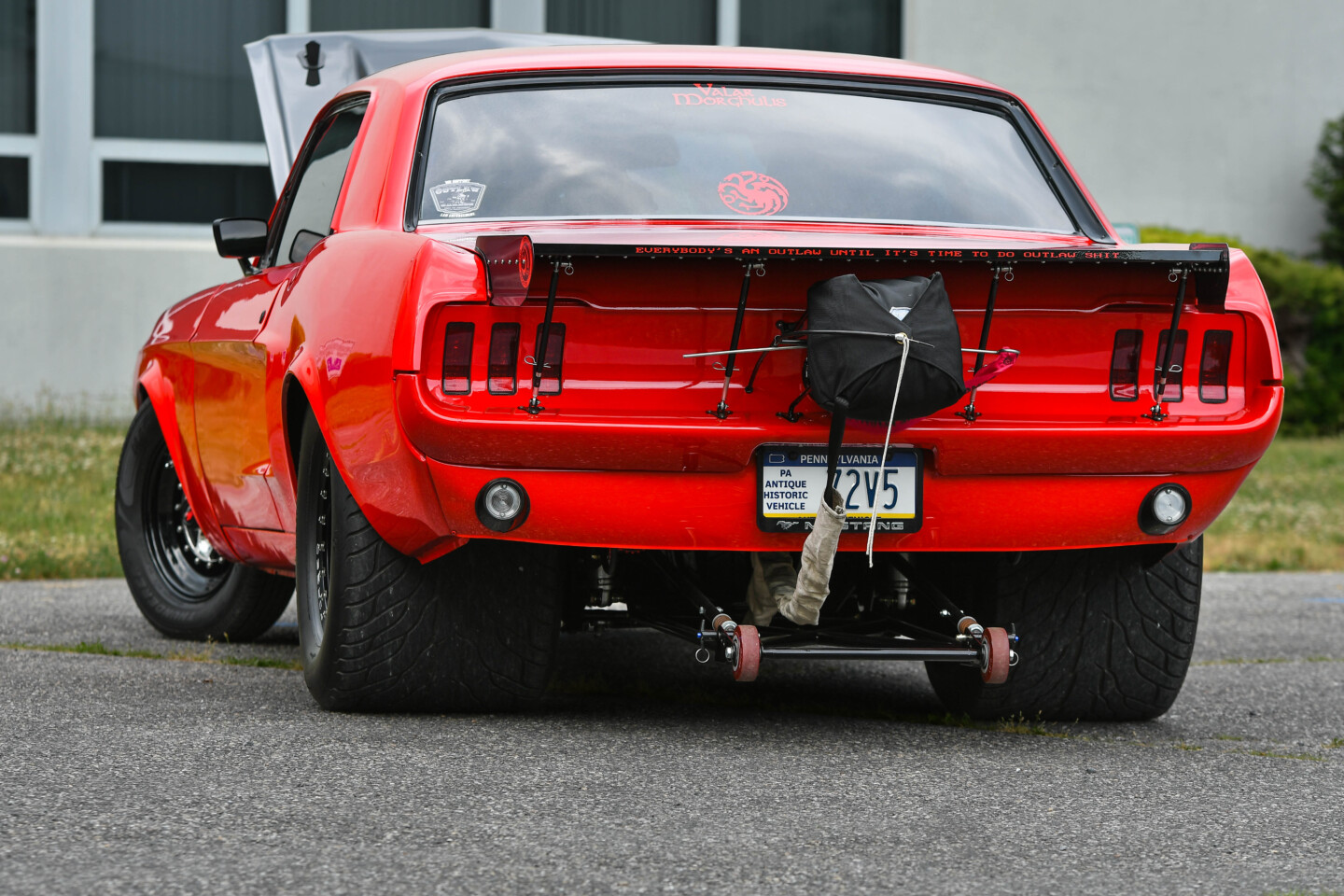 Mustang