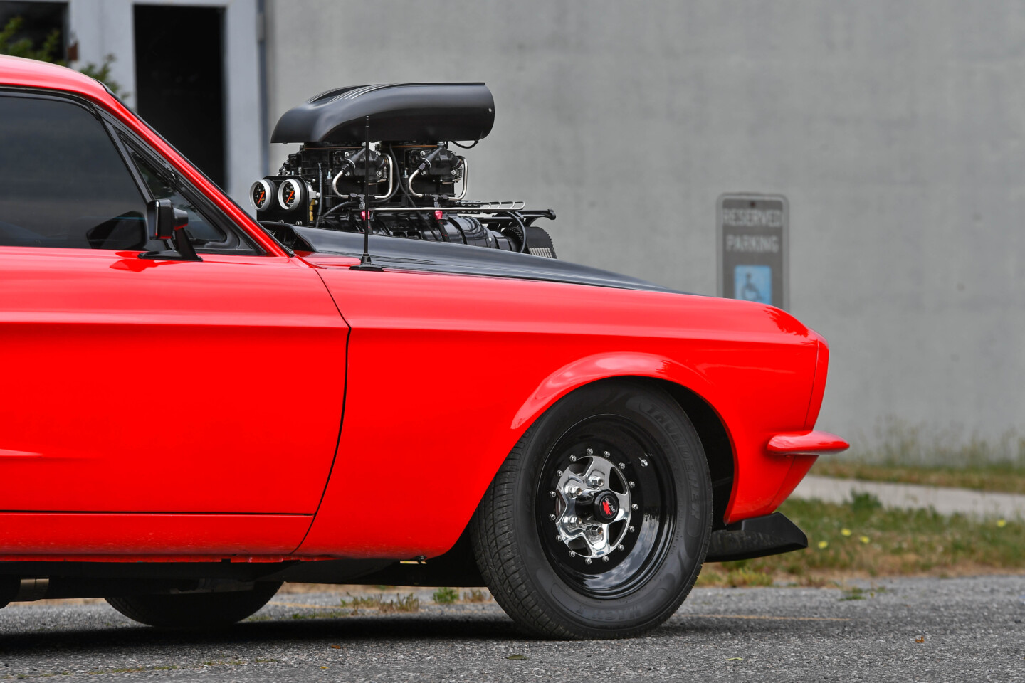 Mustang