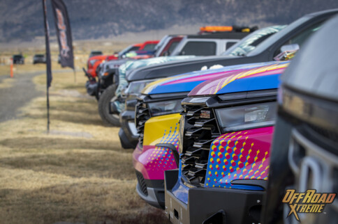 A Rebelle Rally Adventure Proves Successful For A Honda Collective