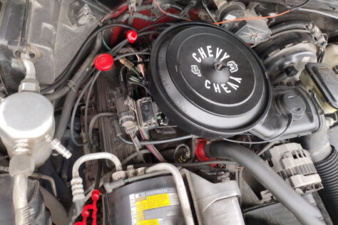 readers-ride-benny-bucklers-1989-chevrolet-s10-2023-12-05_13-02-43_354989