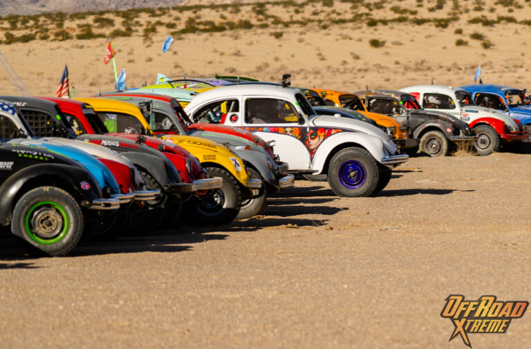 The Bugs Swarm King of the Hammers: 2024 Baja Vida Class 11 Showdown