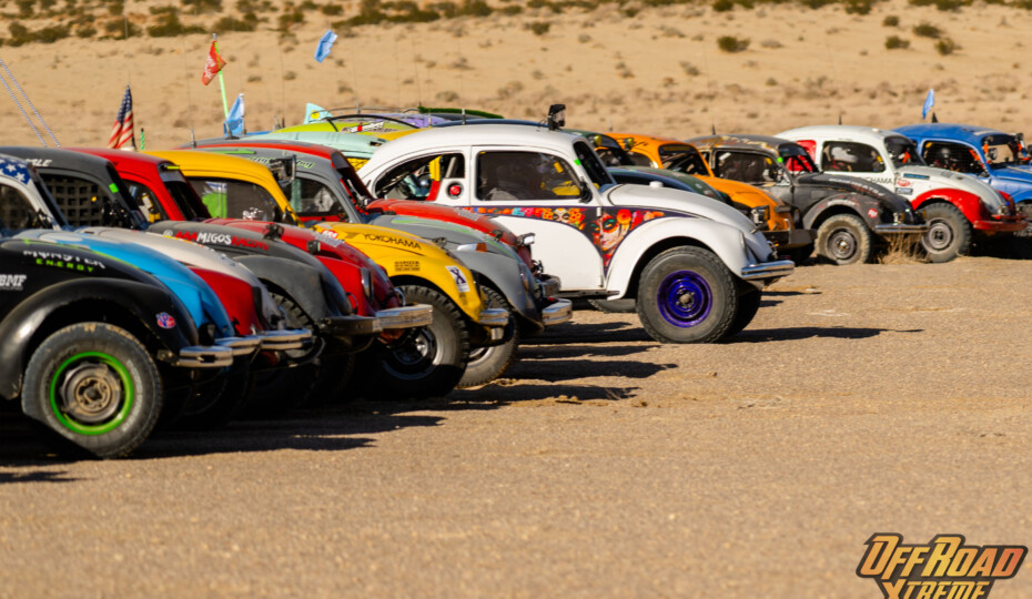 The Bugs Swarm King of the Hammers: 2024 Baja Vida Class 11 Showdown