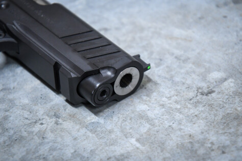 armed-escape-project-bug-out-gets-springfield-armory-loadout-2024-02-08_10-24-05_752361