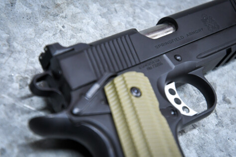 armed-escape-project-bug-out-gets-springfield-armory-loadout-2024-02-08_10-26-30_054313