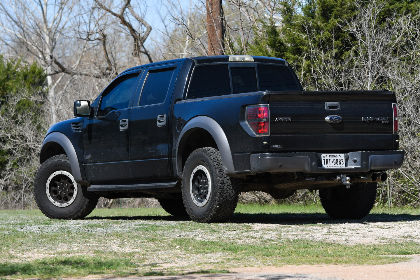 raptor
